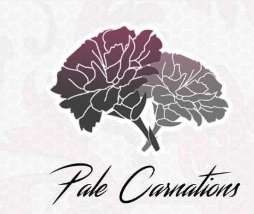 康乃馨俱乐部图标